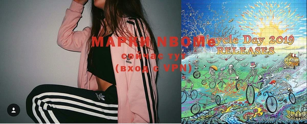индика Алексин