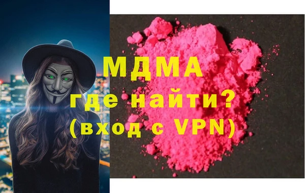 индика Алексин