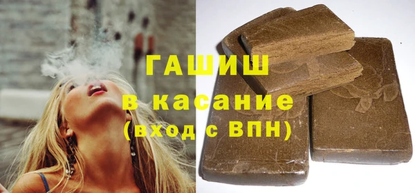 индика Алексин