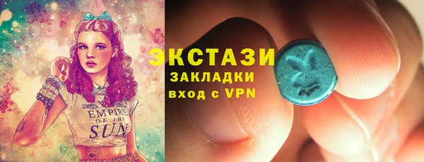 индика Алексин